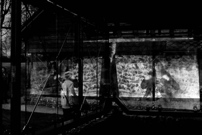 Domus | Site-Specific Video Installation | Dan Farberoff